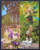 88 db MODERN képeslap: magyar és külföldi városok és motívumok, üdvözlőlapok / 88 modern postcards: Hungarian and European town and motives, greeting cards