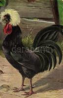 Kakas / Rooster. T.S.N. S. 1911.