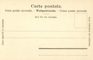 Wengernalp (Lauterbrunnen), Wengernalpbahn Station, Eiger und Mönch / Wengernalp railway station, ra...