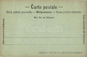 1903 Rigi Kulm und die Alpen / mountain peak, Alps (EK)