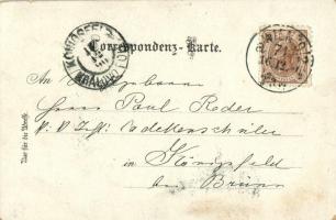 1896 (Vorläufer!!!) Baden bei Wien, Villa Erzherzog Wilhelm, Schloss Weilburg / villa, castle. Schne...