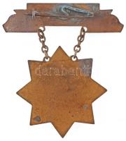 ~1960-1970. "Mintagazda" zománcozott fém kitüntetés (41mm) T:2 zománchiány