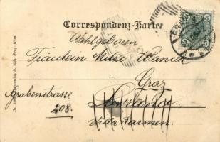 1906 Graz, Erzherzog Franz Carl Brücke / bridge, "Quaker Oats" advertisement, shops