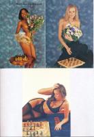 12 db MODERN erotikus sakk képeslap / 12 modern erotic chess motive postcards