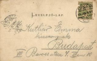 1904 Zólyom, Zvolen; Zólyomi vár. Kiadja Özv. Löwy Samuné / Zvolensky hrad / castle (ragasztónyom / ...