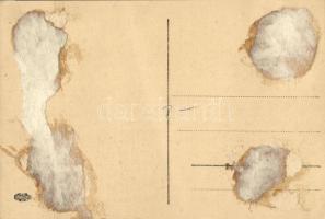 Kassa, Kosice; Fő utca, Neumann M. üzlete / main street, shops (vágott / cut)