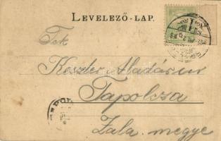 1902 Brassó, Kronstadt, Brasov; Concerthaus / Városi vigadó, Gyógyszertár, piaci árusok / concert ha...