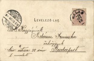 1900 Kiskunhalas, Halas; Városháza (fl)