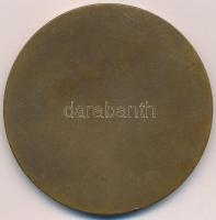 1929. "Duna Sport Club 1929 - Sporttal a hazáért" zománcozott Br plakett (60mm) T:2 ph