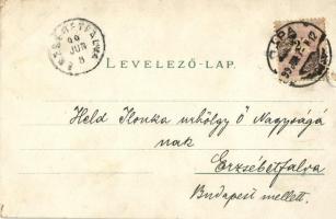 1899 (Vorläufer!) Pápa, Zsinagóga, Református főiskola, színház, Honvéd emlék szobor, Római katoliku...