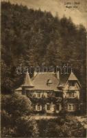 1918 Lublófüred, Lubló-fürdő, Kúpele Lubovna (Ólubló, Stará Lubovna); Magán villa / villa  (EK)