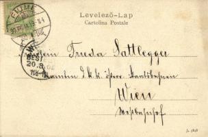 1903 Fiume, Rijeka; Panorama / látkép / general view