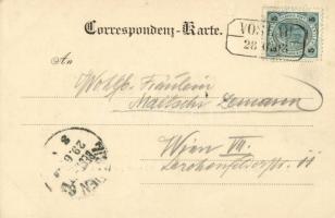 1903 Neuhaus bei Weissenbach, Ruine und Pfarrkirche / castle ruins, parish church. C. Ledermann jr. ...