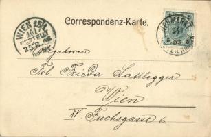 1903 Neumarkt in der Steiermark, general view. R. Kuballa (EK)