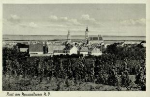 Ruszt, Rust am Neusiedlersee; templomok, szőlőhegy. Karl Allmann kiadása / churches, vineyards