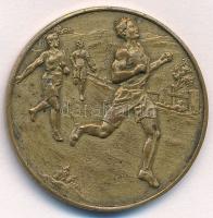 ~1930-1940. "Az Óbudai Tornaegylet verseny dija - Erő Épség Egyetértés / 1872" aranyozott ...