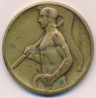 Berán Lajos (1882-1943) ~1920. "Ferenczvárosi Torna Club" Br emlékérem (40mm) T:2,2- fülny...