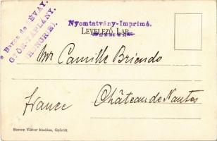 1906 Győr, Király utca, Belső Pál, Back Hermann üzlete. Kiadja Berecz Viktor. TCV card