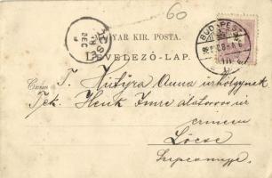 1898 (Vorläufer!) Budapest V. The Continental Bodega Company borcsarnoka, belső, reklámlap. Kossuth ...