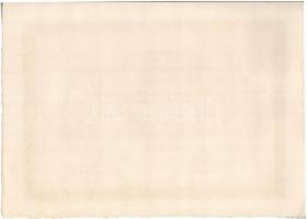 Jászladány 1911. "Jászsági Helyi Érdekü Vasut Részvénytársaság" elsőbbségi részvénye 200K-...