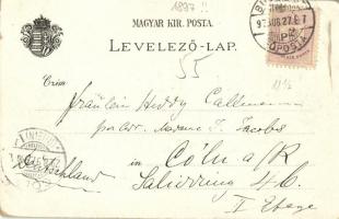 1897 (Vorläufer!!) Budapest, Panoráma a Királyi vártól, Kir. Opera, Lánchíd, magyar zászló és Budape...