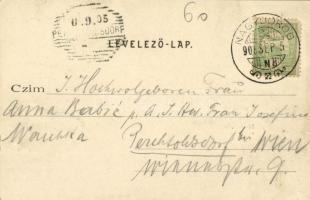 1905 Nagydorog, Fő utca, Klein Lajos kávéháza, vendéglője és borügynöksége, Lévai Nándor üzlete és s...