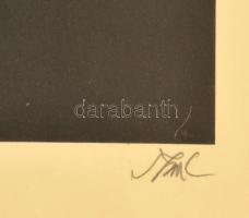 Szász Endre (1926-2003): Macska. Szitanyomat, papír, jelzett, üvegezett keretben, 35×40 cm