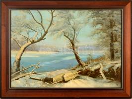 Temesvári Ferenc (1960-): Tél. Olaj, farost, jelzett, keretben, 50×70 cm