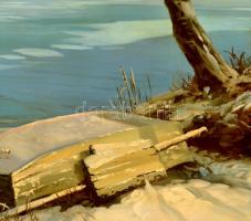 Temesvári Ferenc (1960-): Tél. Olaj, farost, jelzett, keretben, 50×70 cm