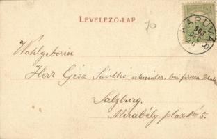 1905 Kapuvár, M. kir. Dohánynagytőzsde, sörraktár, Deutsch József üzlete, M. kir. állami polgári isk...