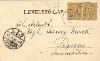 1901 Ipolynyék, Nekyje, Vinica; Meghívó Bussay Tivadar Esztergom főegyházmegyei áldozópap 1901. évi ...