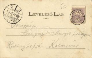 1900 Debren, Dobrin; Dobrini kastély. Részlet az Andrássy-havasokból (Gyalui-havasok). Dunky Fivérek...