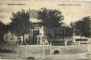 1912 Temesság, Saágh, Sag; Engelmann Miklós üzlete / shop of Engelmann