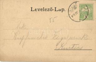 1903 Billéd, Biled; Geschäftshaus Ignatz Tenner, Ziegelei / Ignatz Tenner üzlete, Téglagyár / shop o...