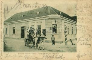 Teke, Tekendorf, Teaca; Kirscher szálloda, hintó. Weinrich S. b. kir. udv. fényképész képe után / Hotel Kirscher, horse-drawn carriage (apró lyukak / pinholes)