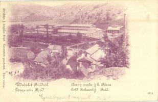 1901 Brád, Arany zúzda. Ábrahám J. kiadása / Gold Pochwerk / gold mine