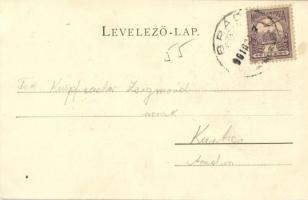 1901 Brád, Arany zúzda. Ábrahám J. kiadása / Gold Pochwerk / gold mine