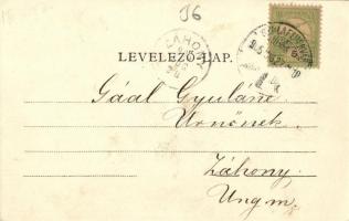 1905 Gyulafehérvár, Karlsburg, Alba Iulia; Hunyady tér, Erzsébet szálloda, Római katolikus Irgalmas ...