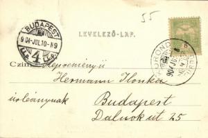 1904 Korond, Corund; Klimatikus fürdő, Tulipán lak. Kiadja Gáspár Gyula / climatic spa, villa (gyűrő...