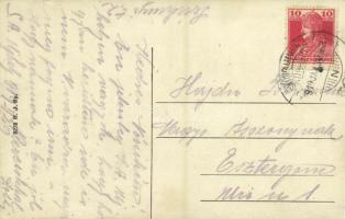 1919 Sátoraljaújhely, látkép