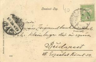 1906 Papfalva, Popesti (Máramaros); Priszlop hegység, Magyarország és Bukovina közötti határ, fűrész...