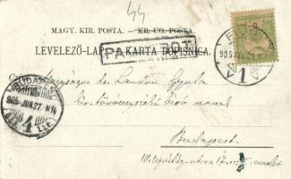 1905 Novi Vinodolski, Novi, Novoga; Hotel Lisanj, Kupaliste, Hotel Slavulj, Kula Frankopanska, Otok ...