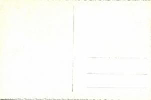 Nagyvárad, Oradea; Szent László tér, templom, villamosok, gyógyszertár, Székely üzlete / square, chu...