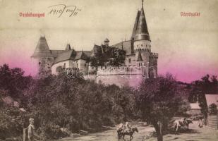1910 Vajdahunyad, Hunedoara; vár. Spörl Gusztáv kiadása / castle (EK)