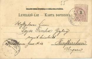 1898 (Vorläufer!) Ogulin, Gjulin Skok / general view, cave. Heinrich Krapek Art Nouveau, floral, lit...