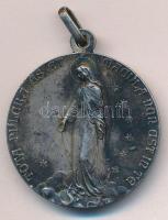 Olasz Államok / Pápai Állam DN "X. Piusz pápa" Ag? emlékérem füllel, jelzés fülön (15,25g/...