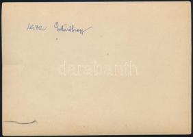 1932 Budapest, légi felvétel, a Gellért-hegyről a Lágymányosi-tóról, a dunai uszodákról, jó állapotb...