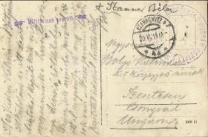 1915 A híres lovas divízió tisztikarának csoportképe Czernowitz-ban / WWI K.u.K. (Austro-Hungarian) ...