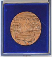 DN. "A Volán feladataiban végzett eredményes munkásságáért" Br emlékplakett dísztokban (10...