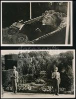 Engelbert Dollfuss kancellár a koporsóban és díszőrség a sírjánál - 2 db fotó képeslap / Engelbert Dollfuss Chancellor in his coffin and guards at his tomb - 2 original photo postcards